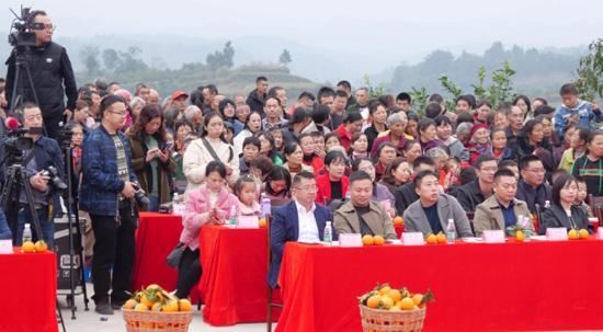 2020四川犍为第五届柑橘文化旅游节在罗城镇开幕