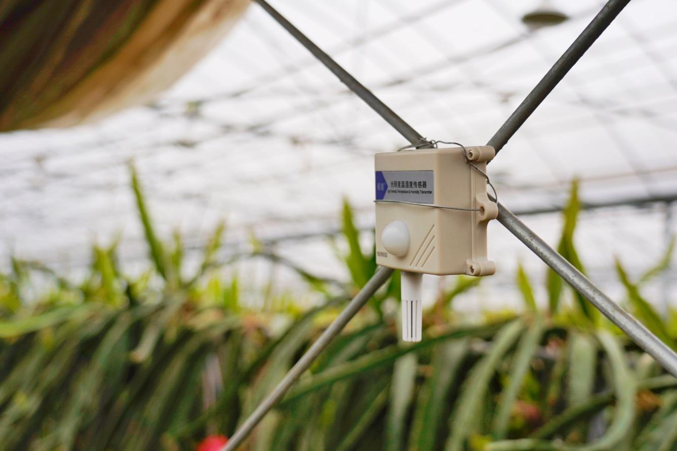 智能传感器走进田间地头，实时监控+远程控制为宁波慈溪农业插上数字翅膀 