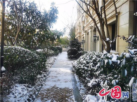 《金陵飞雪》——邱世鸿即兴写于2020年岁尾南京初雪