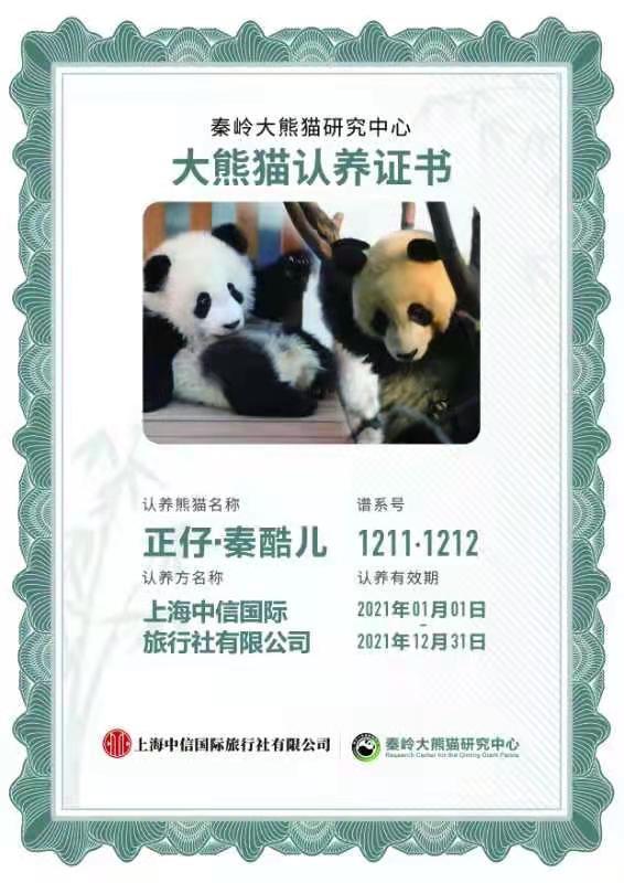 元月新故事 大熊猫认养仪式秦岭举行