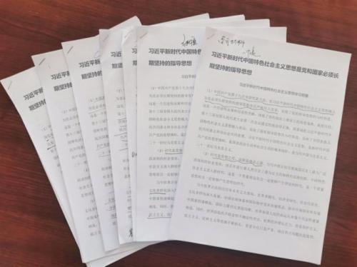 党建引领聚合力 教育整顿稳推进