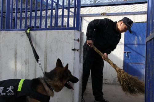 警犬“凯莎”眼中的春运