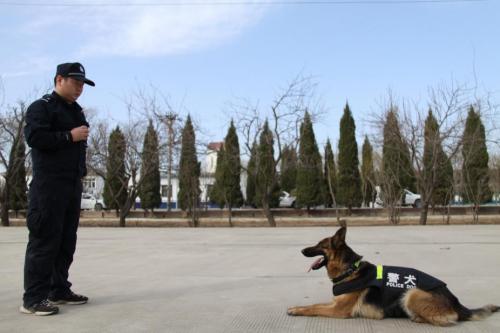 警犬“凯莎”眼中的春运