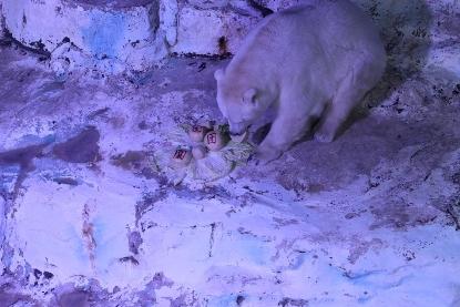 动物也来闹元宵 北极熊吃8.8斤巨型元宵庆团圆