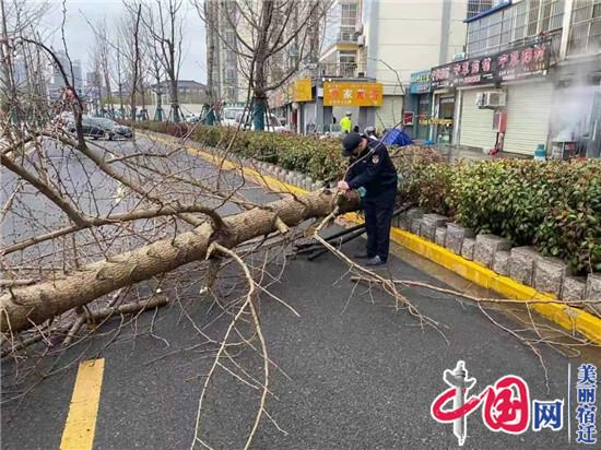 城管项里中队积极应对大风天气 及时清理倒伏树木