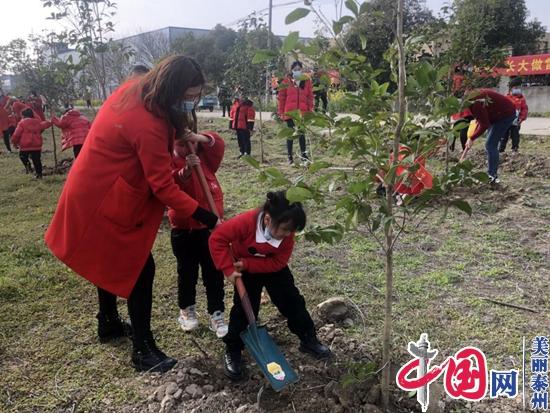 同植志愿林·共护分界园——泰兴市分界镇开展3·5雷锋日志愿活动