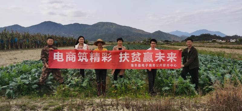 海丰县电商发展持续向好 电商助农成新风尚