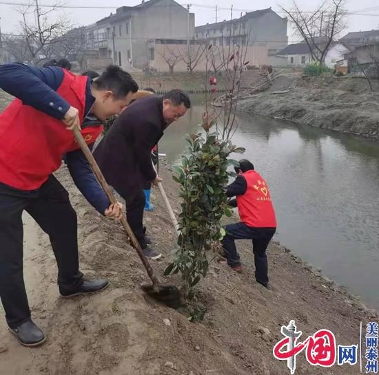 泰兴市滨江镇植树节：春色正好 植树造景