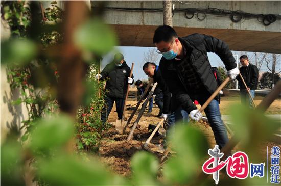 宿迁皂河船闸助力苏北运河绿色航运示范区建设