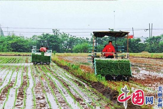 奔驰在丰收的田野上——泰兴市创建国家级粮食生产全程机械化示范市纪略