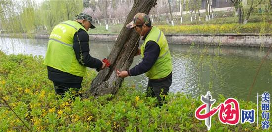 句容城管局园林管理中心开展春季绿化养护工作