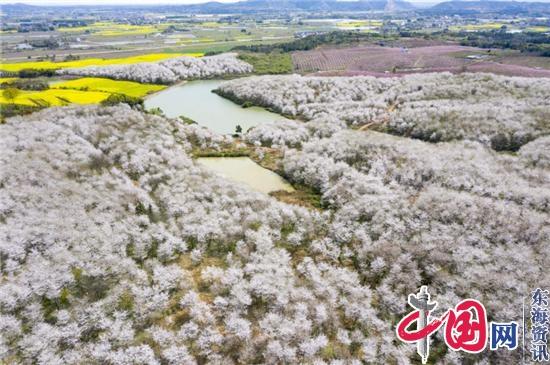 春游江淮请您来丨郎溪樱花火上央视！春日高颜值旅拍地上线 周末走起！