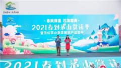 “春风得意茅山丽 花海踏青正当时”——2021春到茅山赏花季暨金坛茅山春季旅游产品发布活动盛大开幕