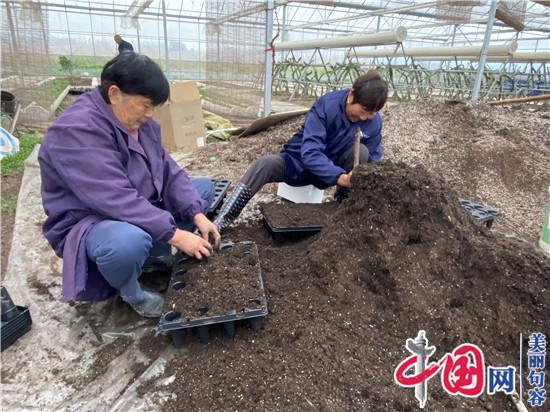 句容火龙果种植能手胡杰 为全国种植户“传经送宝”