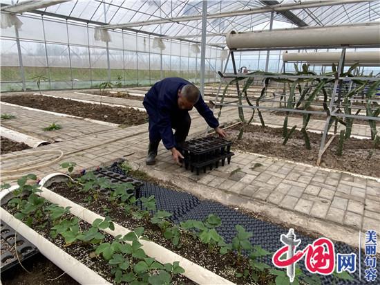 句容火龙果种植能手胡杰 为全国种植户“传经送宝”