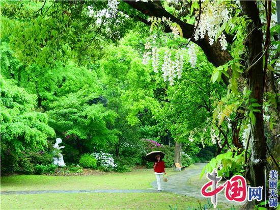 微风细雨垂千绦