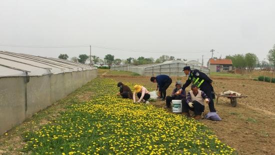 春季农民耕作忙 铁警田间送安全