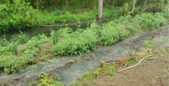 淮安畜禽养殖污染成为汛期水质潜在隐患：露天积存粪污，直排农田