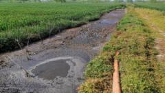 淮安畜禽养殖污染成为汛期水质潜在隐患：露天积存粪污，直排农田