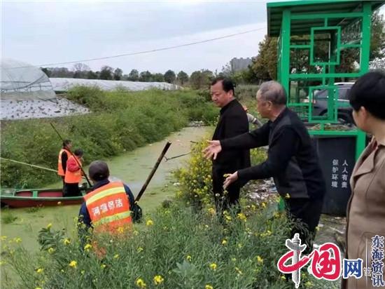 兴化市城管局：清理河道水生植物 改善河道环境面貌
