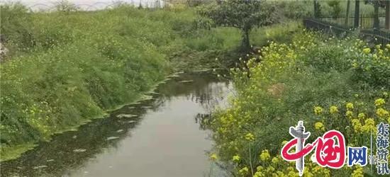 兴化市城管局：清理河道水生植物 改善河道环境面貌