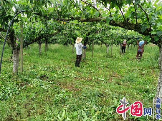 “学亚夫、做亚夫—把成绩写在大地上”句容城管监督指挥大队开展主题党日活动