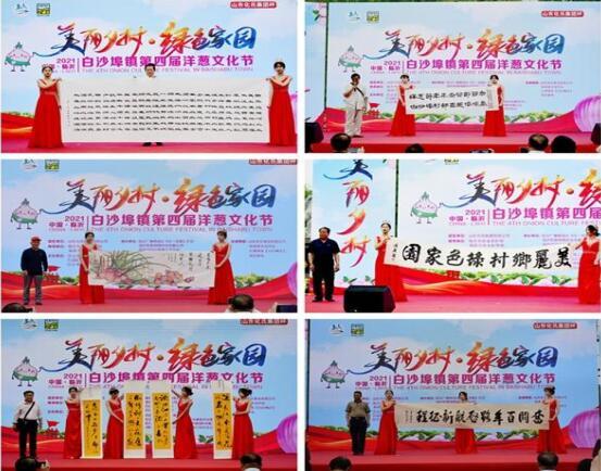 中国临沂第四届洋葱文化节成功举行
