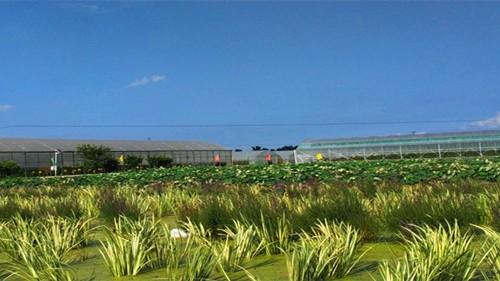 南昌：致力将设施蔬菜产业打造成富民乡村产业
