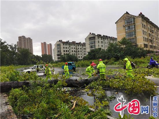 句容城管：清树保畅通 园林工人奋战强风大雨中