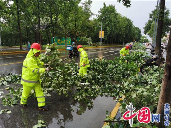 句容城管：清树保畅通 园林工人奋战强风大雨中