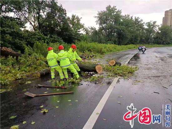 句容城管：清树保畅通 园林工人奋战强风大雨中