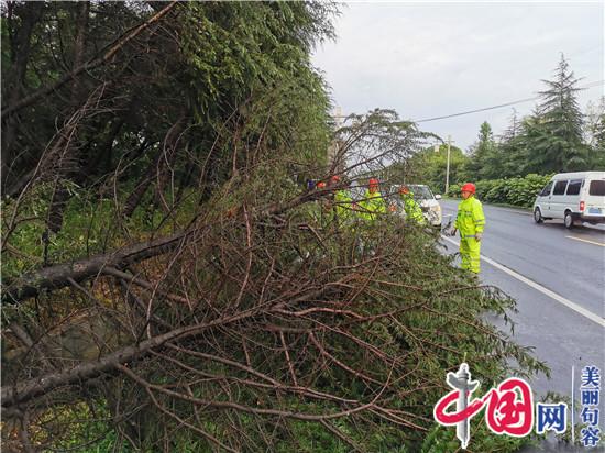 句容城管：清树保畅通 园林工人奋战强风大雨中