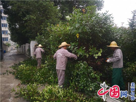 句容城管局园林管理中心全面开展大气污染防治工作