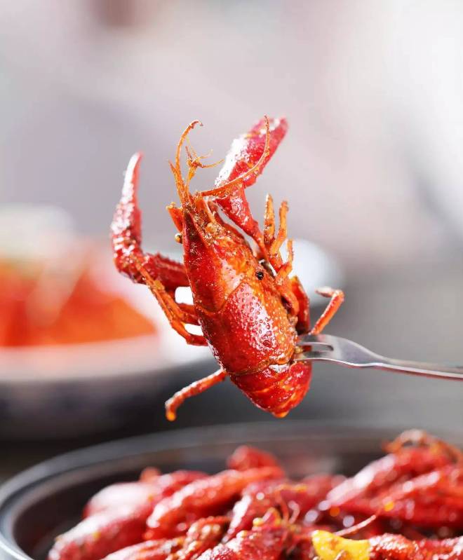 第21届中国·金湖荷花节暨特色龙虾宴举行 开启舌尖味蕾之旅