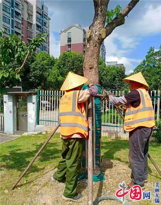 我为群众办实事丨锡山城管雷霆出击防汛抗台风