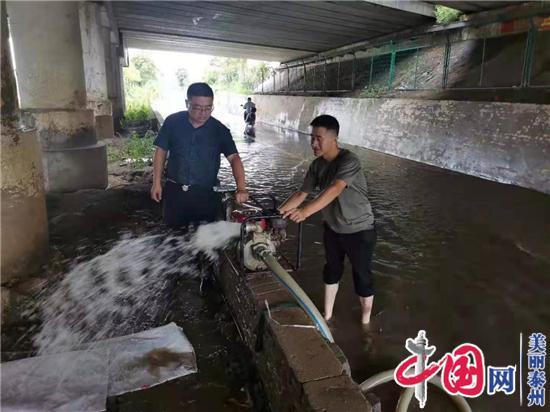 泰兴宣堡镇：网格员奋战在防汛第一线