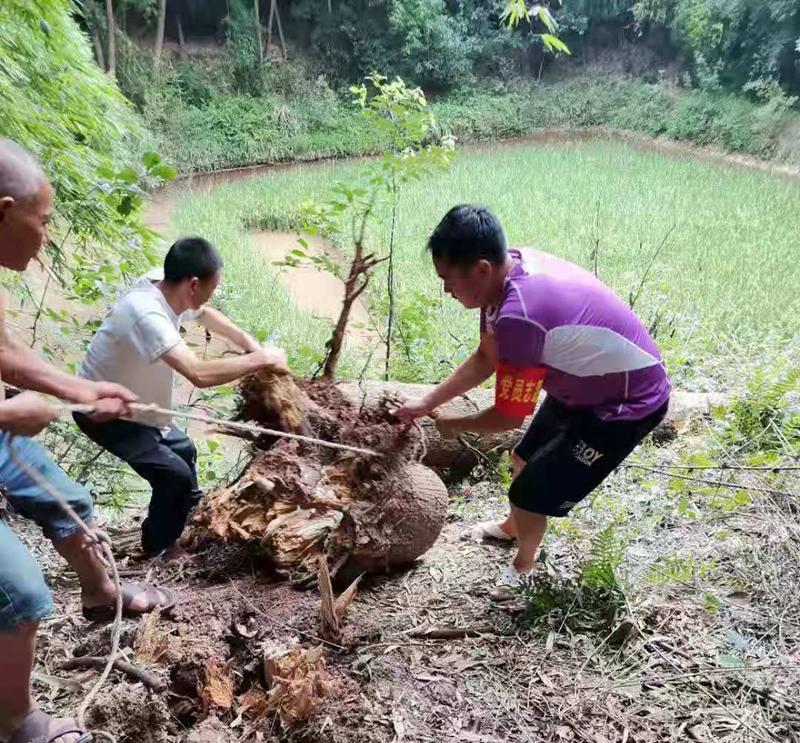 办实事｜村民送锦旗，为群众解决了许多烦恼