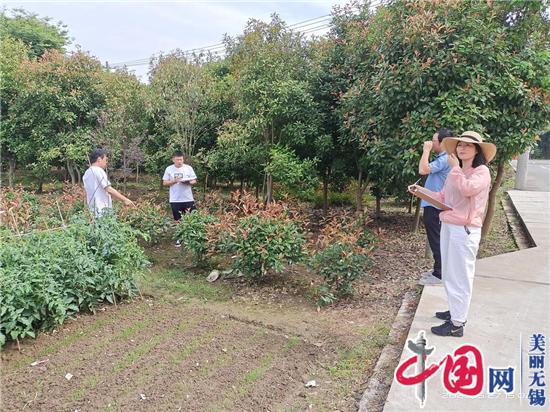 我为群众办实事丨无锡羊尖：用农村道路的“微改造”加码百姓“稳稳的幸福”