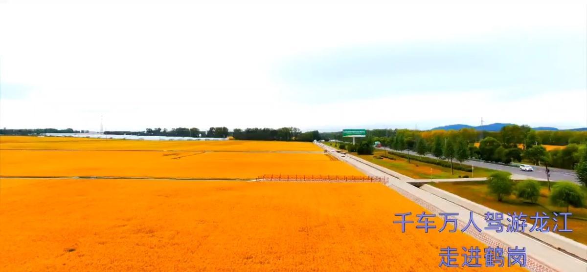 黑龙江省鹤岗市：实施“旅游强市”发展战略 推动经济社会持续发展