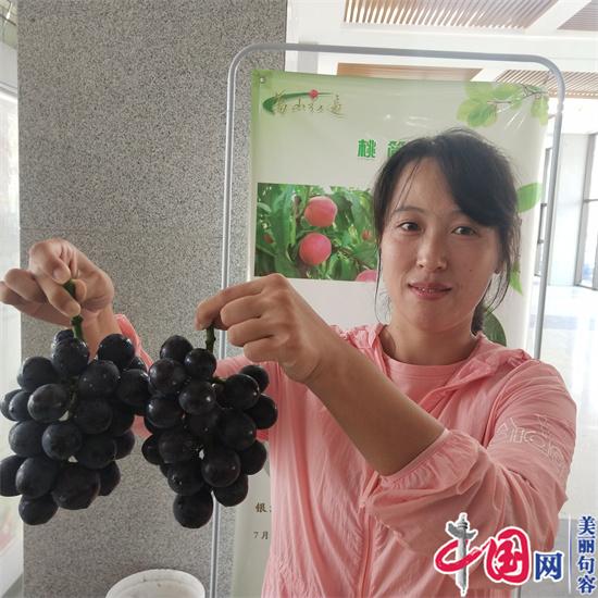 江苏省农科院亚夫科技服务推进会在句容召开 葡萄和梨产业科技示范项目启动