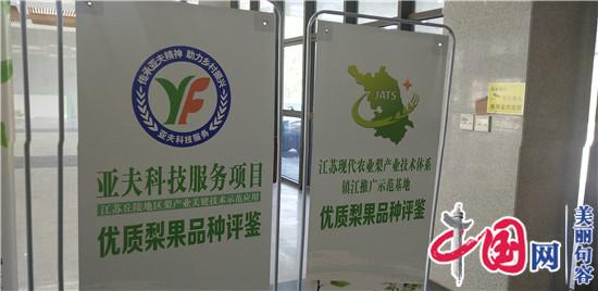 江苏现代农业梨产业技术体系镇江推广示范基地在句容举办优质梨果品鉴活动
