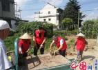  泰兴市延令街道陆桥村：培育乡风文明 助力乡村振兴