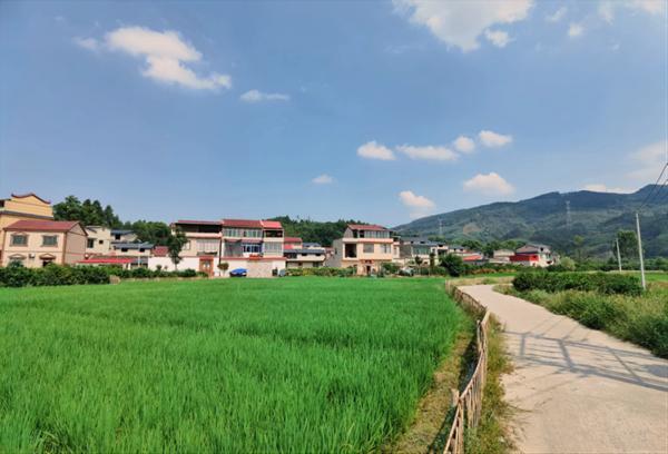 广西桂林市太平村：项目带来新活力