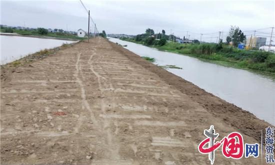 兴化市陶庄镇：坚持合理规划引领 加快生态河道建设