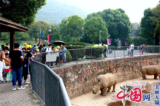 开园周年庆 与爱同行——特教学校走进无锡动物园