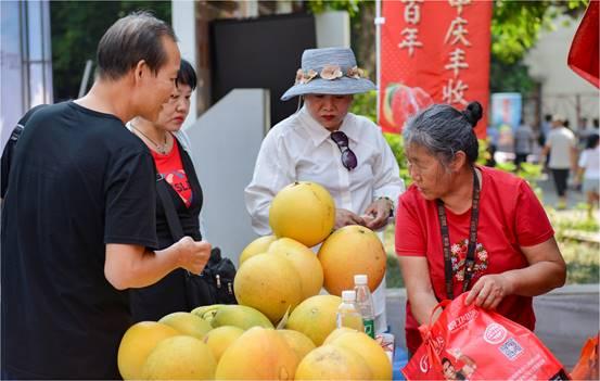 柳州“中国十大最美乡村”环江村“柚”见丰收！“环”是诱你