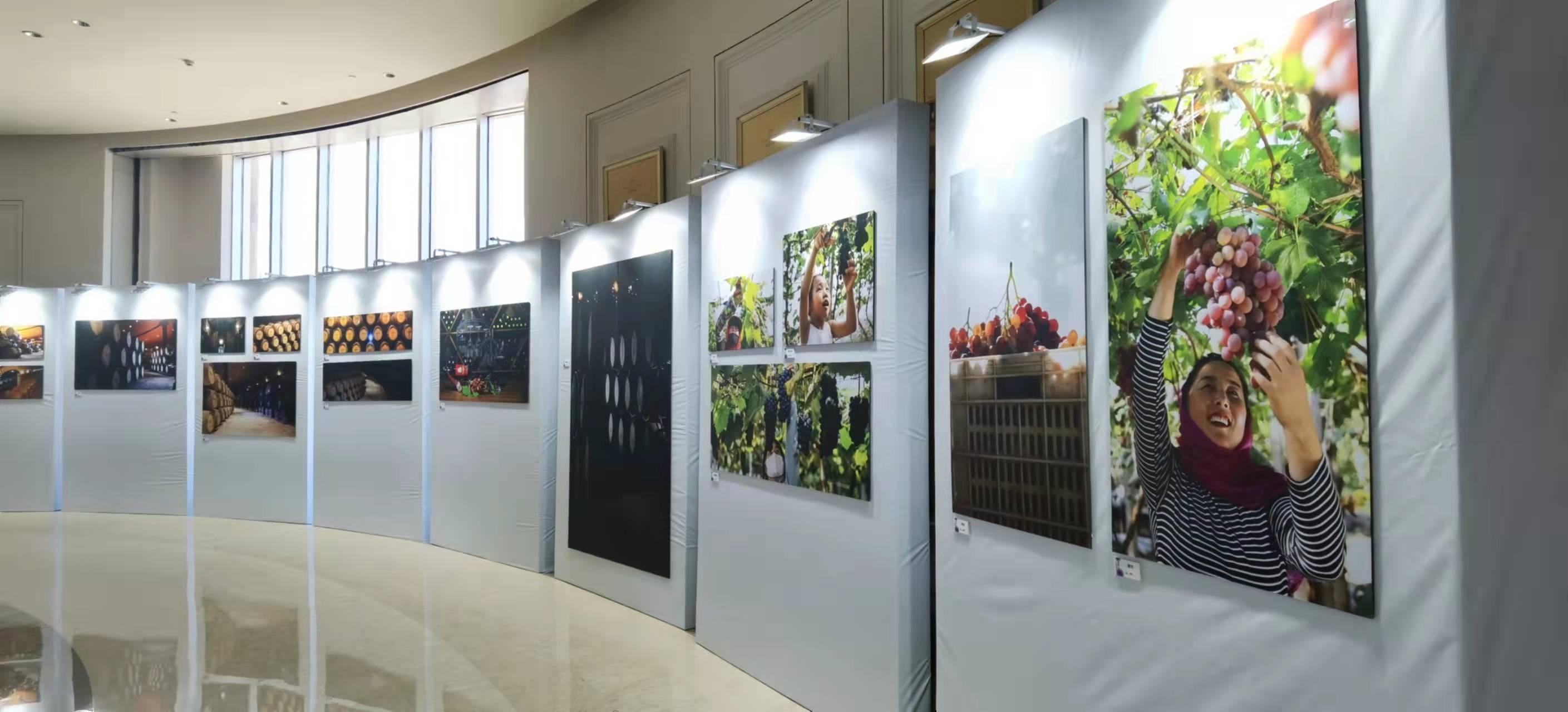 昌黎首次举办葡萄摄影专题展 用照片表达昌黎葡萄产业的特色与风采