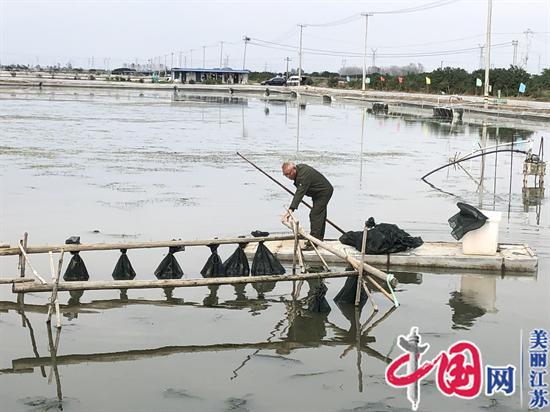 首场“江苏名蟹节”兴化站专场直播现场如火如荼