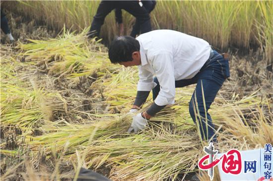 句容市第六届农耕文化收割节开镰暨稻米文化研学馆揭牌