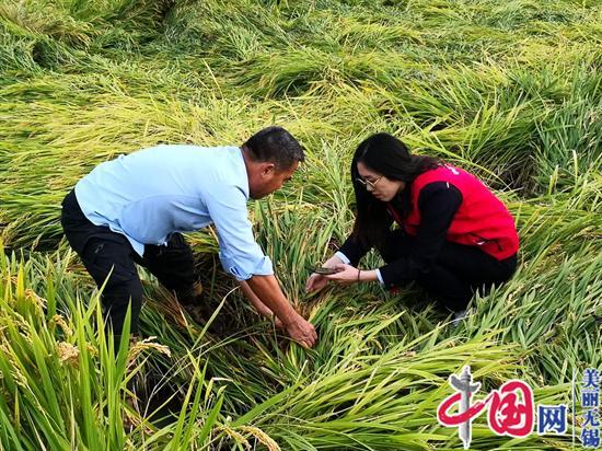 无锡锡山：学党史重落实 扎实推进农业保险助力乡村振兴